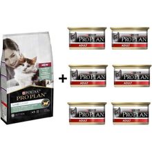 Pro Plan Live Clear Kitten Hindili 1.4 kg Yavru Kedi Maması + 6x85 gr Junior Tavuk Etli Yavru Kedi Maması