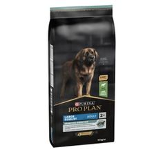 Pro Plan Robust Adult Sensitive Digestion Lamb Large 14 kg Yetişkin Köpek Kuru Maması