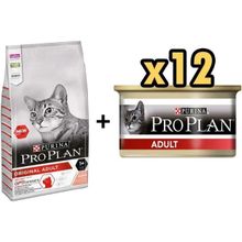 Pro Plan Somonlu 3 kg Yetişkin Kedi Maması + 12x85 gr Adult Tavuk Etli Yetişkin Kedi Konservesi
