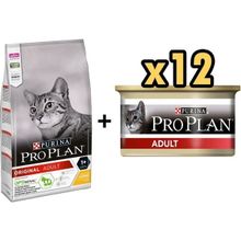 Pro Plan Tavuklu 10 kg Yetişkin Kedi Maması + 12x85 gr Adult Tavuk Etli Yetişkin Kedi Konservesi