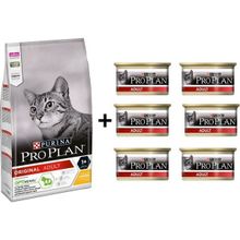Pro Plan Tavuklu 3 kg Yetişkin Kedi Maması + 6x85 gr Adult Tavuk Etli Yetişkin Kedi Konservesi