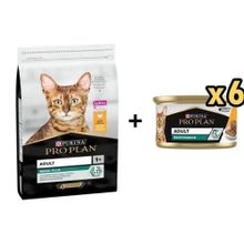 Pro Plan Tavuklu Yetişkin 10 kg Kedi Maması + 6x85 gr Proplan Adult Tavuk Etli Yetişkin Kedi Konservesi