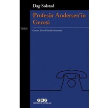 Profesör Andersen'in Gecesi - Dag Solstad