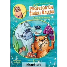 Profesör'ün Sihirli Kalemi - Kayıp Kedi Miskin - Nina Hundertschnee