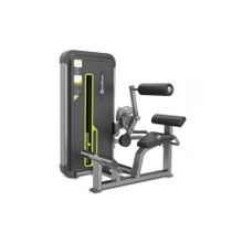 Profitness A3031 Back Extension