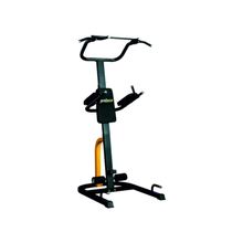 Proforce EMA-05 Çok Fonksiyonlu Güç ve Barfıks Kulesi