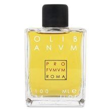 Profumum Roma Olibanum EDP 100 ml Unisex Parfüm