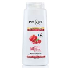 Proxive Tuzsuz Parabensiz Silikonsuz Boyasız Bitkisel Boya Koruyucu 650 ml Şampuan
