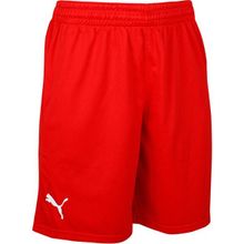 Puma 60547202 Turkey Practice Short Kırmızı Türkiye Erkek Basketbol Şortu