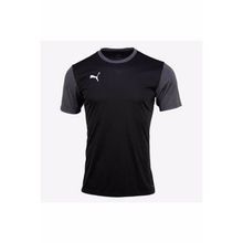 Puma 65648403 Teamgoal 23 Sideline Tee Siyah Erkek T-shirt