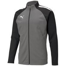 Puma 65723413 Gri Erkek Futbol Antrenman Ceketi Teamliga Training Jacket