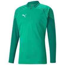 Puma 65798205 Yeşil Teamcup Training 1/4 Zip Top Futbol Uzun Kollu Erkek Antrenman Üstü