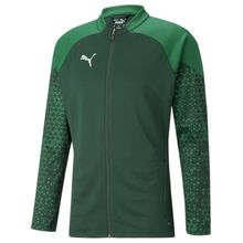 Puma 65798305 Teamcup Training Jacket Yeşil Erkek Ceket