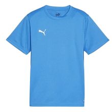 Puma 65863602 Teamgoal Jersey Mavi Erkek Forması