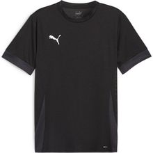 Puma 70574703 Siyah Teamgoal Matchday Jersey Futbol Antrenman Erkek T-Shirt