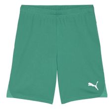 Puma 70575205 Teamgoal Shorts Yeşil Erkek Futbol Antrenman Şortu