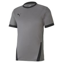 Puma Gri Teamgoal 23 Jersey Erkek Futbol Forması