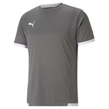 Puma Gri Teamliga Jersey Erkek Futbol Forması