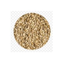 Quik Aspur 300 gr Kuş Yemi