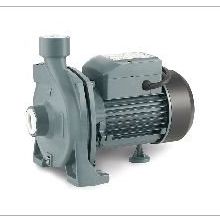 Rain Pump CPM146 Santrifuj Pompası