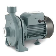 Rainpump CPM170 Santrifuj Pompa