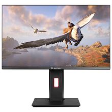 Rampage Rage RG24R165 24 inç 165Hz 1ms Oyuncu Monitörü