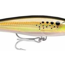 Rapala BNK 120 mm X-Rap Magnum Maket Balık