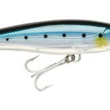 Rapala BSRD 160 mm X-Rap Magnum Maket Balık