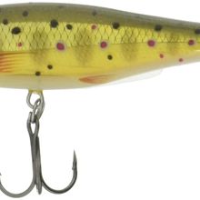 Rapala BX Minnow 100 mm TR Sahte Balık