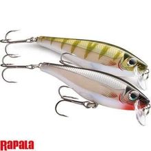 Rapala Bx Mınnow Bxm10 100 mm Olta Yemi