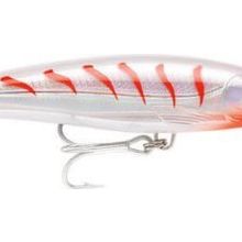 Rapala CG 160 mm X-Rap Magnum Maket Balık
