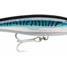 Rapala SBM 160 mm X-Rap Magnum Maket Balık