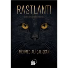 Rastlantı - Hasan Tekin Özel