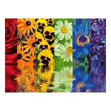 Ravensburger 164462 500 Parça Çiçek Yansıma Puzzle