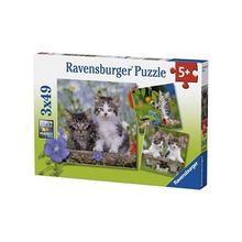 Ravensburger 3x49 Parça Kedi Yavruları Puzzle