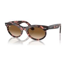 Ray-Ban 0RB2242 133451 53 Unisex Güneş Gözlüğü