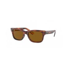 Ray-Ban 0RB2283 954/33 55 Kahverengi Erkek Güneş Gözlüğü