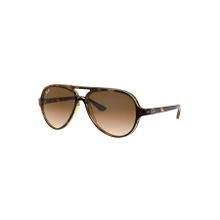 Ray-Ban 0RB4125 710/51 59 Ekartman Erkek Güneş Gözlüğü