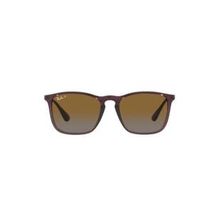 Ray-Ban 0Rb4187 6593T554 Erkek Güneş Gözlüğü