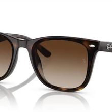 Ray-Ban 0RB4420 710/13 65 Unisex Güneş Gözlüğü
