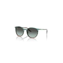 Ray-Ban 2204 1394GK 51-20 Unisex Güneş Gözlüğü