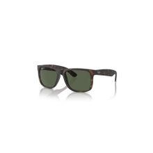 Ray-Ban 4165 865/9A 55 Leopar Erkek Güneş Gözlüğü