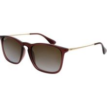 Ray-Ban 4187 6593T5 Erkek Güneş Gözlüğü