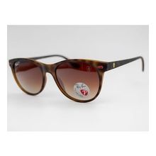 Ray-Ban RB 2202-M F613/13 54/19 Polarize Unisex Güneş Gözlüğü