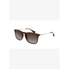 Ray-Ban RB 4187 54 6593T5 Erkek Güneş Gözlüğü