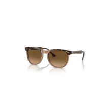 Ray-Ban RB2398 1292M2 53 Erkek Güneş Gözlüğü