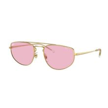 Ray-Ban RB3668 001/Q3 Kadın Güneş Gözlüğü