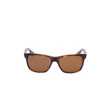 Ray-ban RB4181710-8357 Unisex Günes Gözlügü