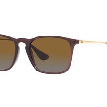 Ray-Ban RB4187 6593T5 54 Polarize Unisex Güneş Gözlüğü