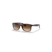 Ray-Ban RB4202 55 6073-13 Erkek Güneş Gözlüğü